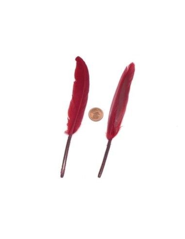 Plume rouge carmin pas chère pour décoration