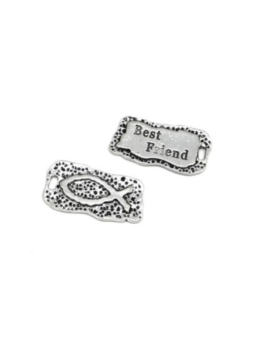 Plaque Best Friend argenté pas chère