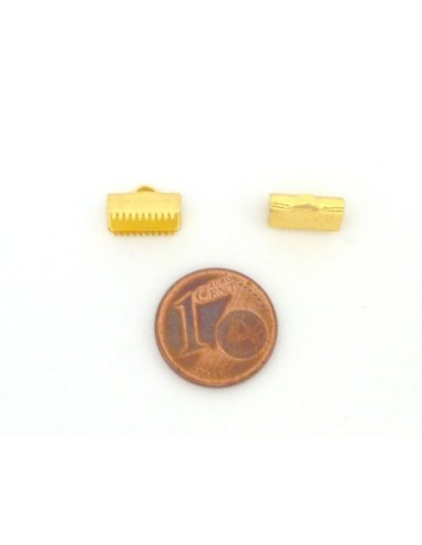 Embout griffe10mm  serre ruban, lacet, fil...