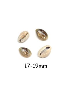 Perle coquillage cauris beige marbré pour collier
