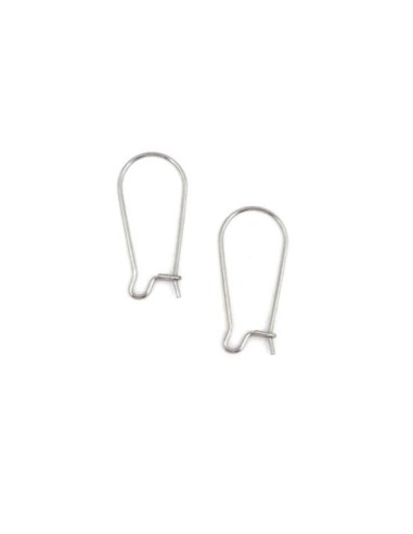 Boucles d'oreilles crochets dormeuses argenté