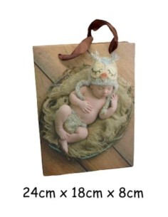 Pochette cadeau bébé hibou cartonné glacé 