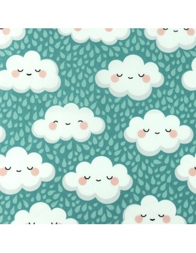 Tissus coton motif Nuage heureux sur fond vert menthe 