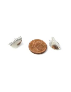 Embout griffe demi lune argenté 13mm, pince demi lune, serre ruban en métal doré 2