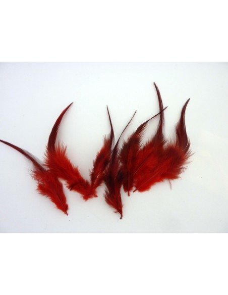 Plume de couleur rouge
