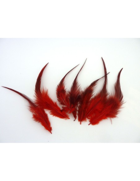 Plume décorative de couleur rouge