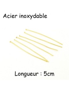 tige clou à tête plate  5cm en métal acier inox doré