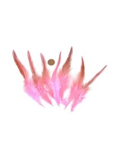 Plume rose clair, vieux rose approximativement 9-15cm 2