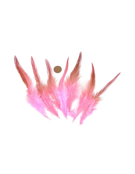 Plume décorative rose clair, vieux rose approximativement 9-15cm Plume décorative rose clair, vieux rose approximativement 9-15cm