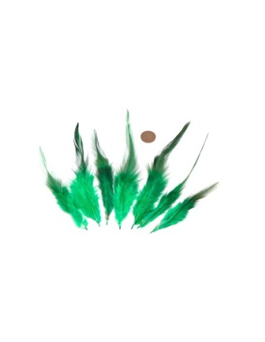 Plume décorative vert approximativement 8-15cm