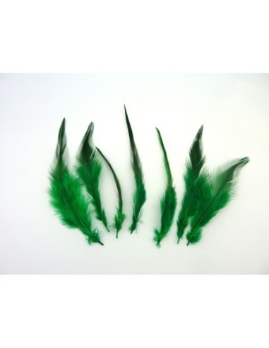 Plume pour customisation chapeau