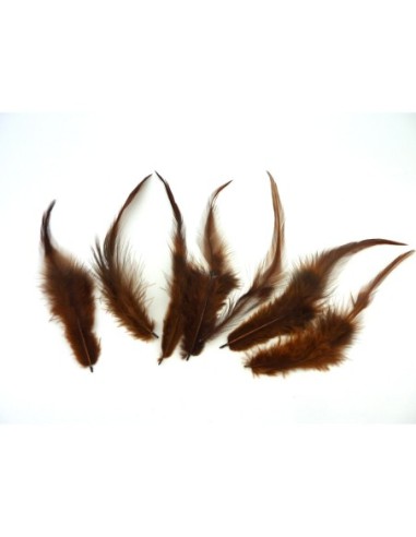 plumes teinte marron approximativement 13-17 cm