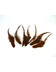 plumes teinte marron approximativement 13-17 cm 2