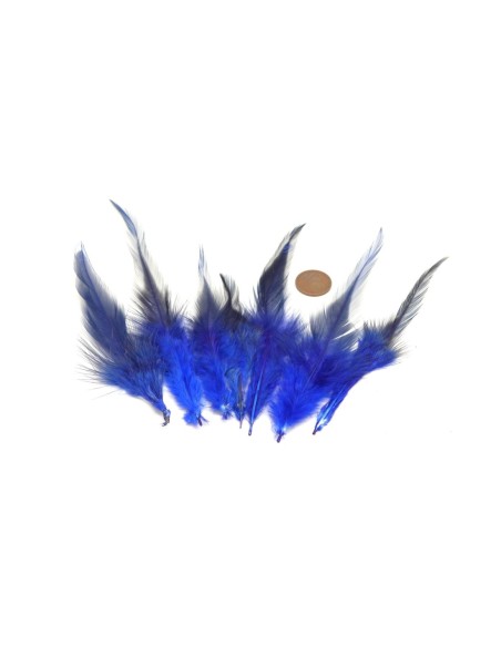 Plume bleu électrique approximativement 8-14 cm pour décoration murale