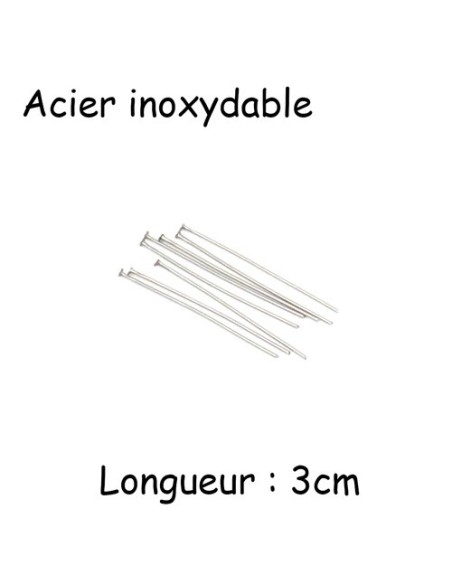 Tige clous à tête plate en acier inox argenté