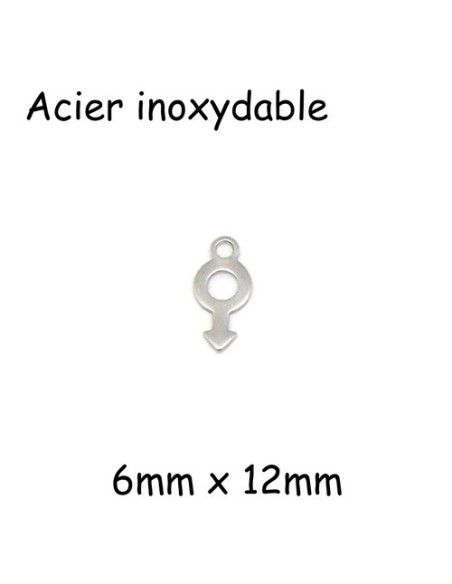 Breloques symbole masculin en acier inox argenté