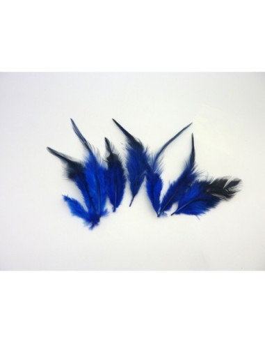 Plume pour customisation de chapeau