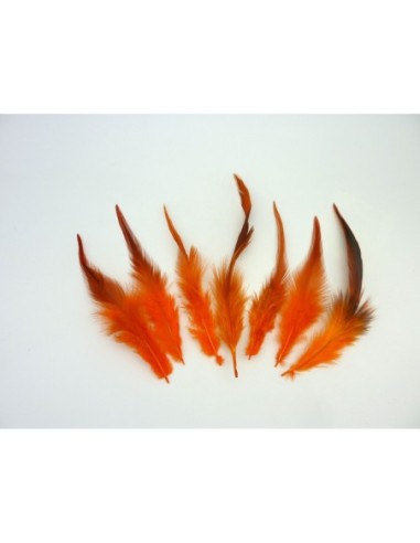 Plume orange pour décoration murale