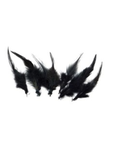 Plume noire décorative approximativement 8-12 cm