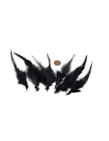 Plume noire pour attrape rêve approximativement 8-12 cm