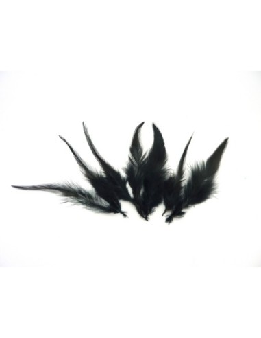 Plume de couleur noire