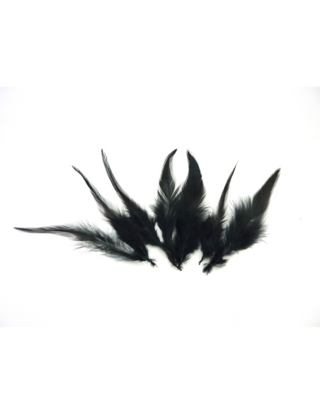 Plume de couleur noire Plume de couleur noire