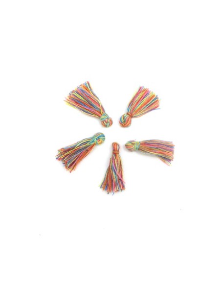 Lot de 5 pompons multicolore pour vos créations DIY Lot de 5 pompons multicolore pour vos créations DIY