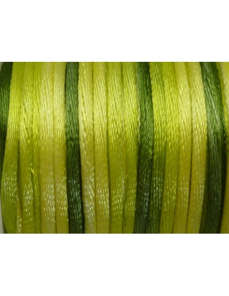 Cordon queue de rat 2mm vert olive dégradé 