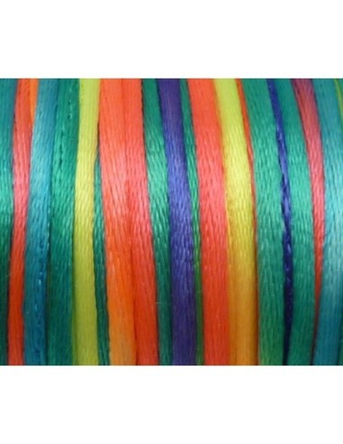 Cordon queue de rat 2mm fluo multicolore arc en ciel