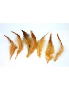 plume teintée marron 2