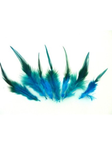 Plume décorative de couleur bleu canard