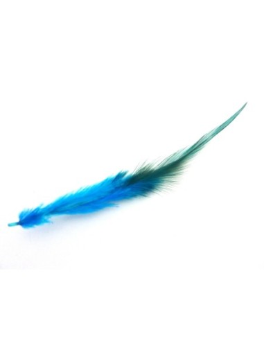 Plume de couleur bleu canard pour décoration murale