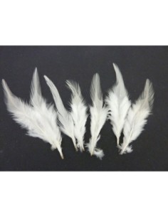 Plume blanche pour attrape rêves