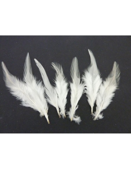 Plume blanche pour attrape rêves