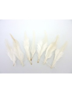 Plume blanche pour attrape rêves 2