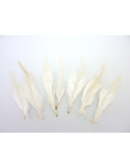 Plume blanche pour chapeau