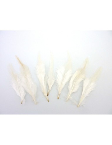 Plume blanche pour décoration