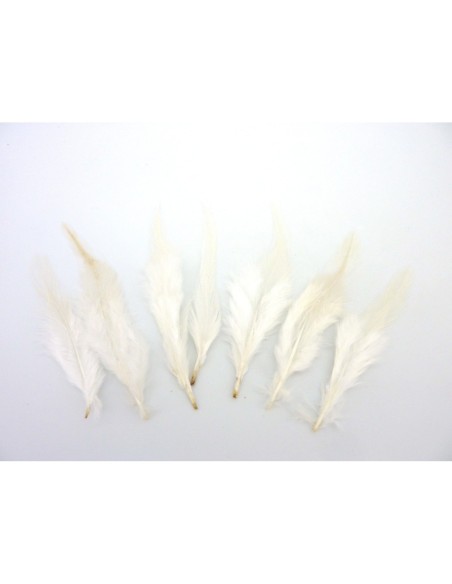 Plume blanche pour décoration