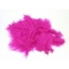 PLUMES
