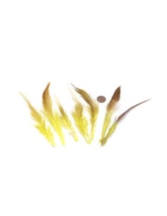 Plume jaune et marron pour décoration murale approximativement 9-16 cm 2