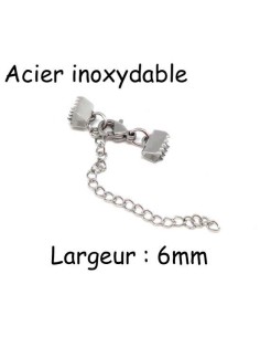 Fermoir mousqueton avec embout griffe 6mm serre ruban en acier inoxydable argenté