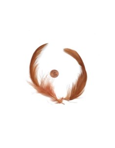 Plume marron rouille pour customisation 2