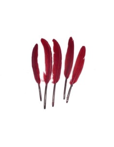 Plume rouge bordeaux pour création DIY