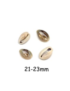 Perle coquillage cauris beige marbré pour création DIY